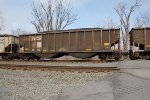 NS 10061